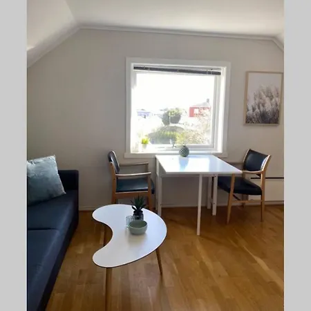 Koselig Sentralt I Appartement Svolvær